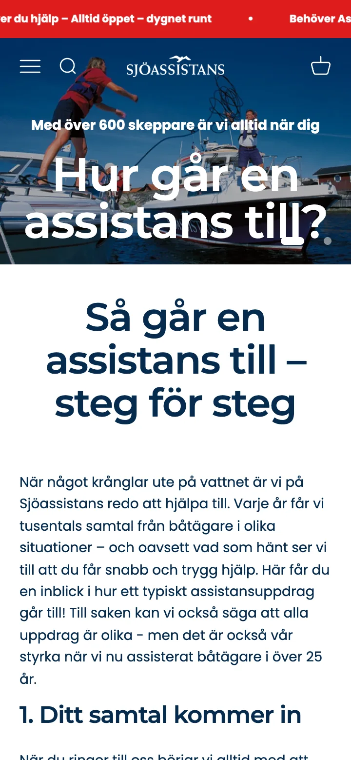 Assistansprocessen i mobil